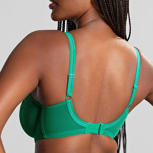 Envy - Emerald Green w/ Navy Blue Trim