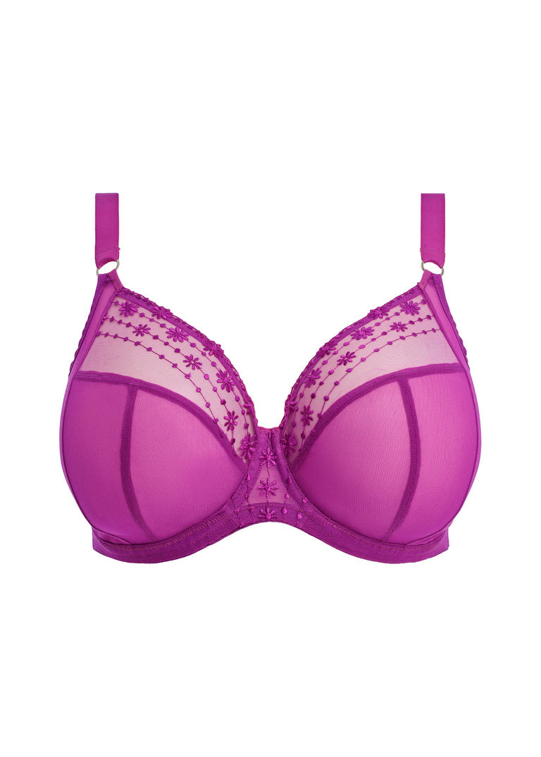 Matilda Plunge Bra - Hollyhock Magenta