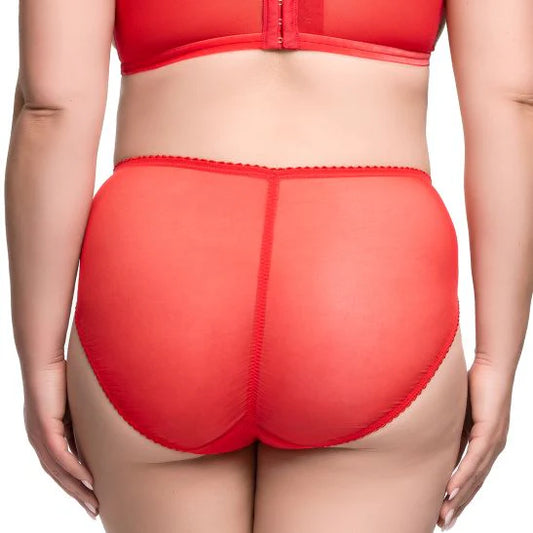 Rosewyn Hi Cut Brief - Flame