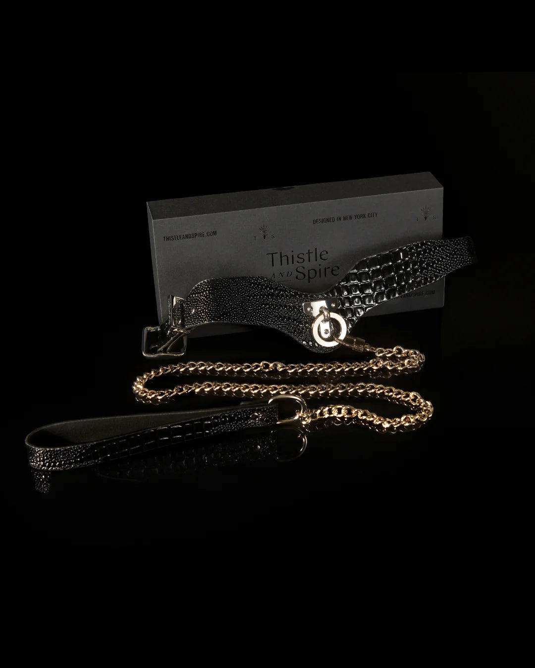Muse Collar and Lead - Black Silver