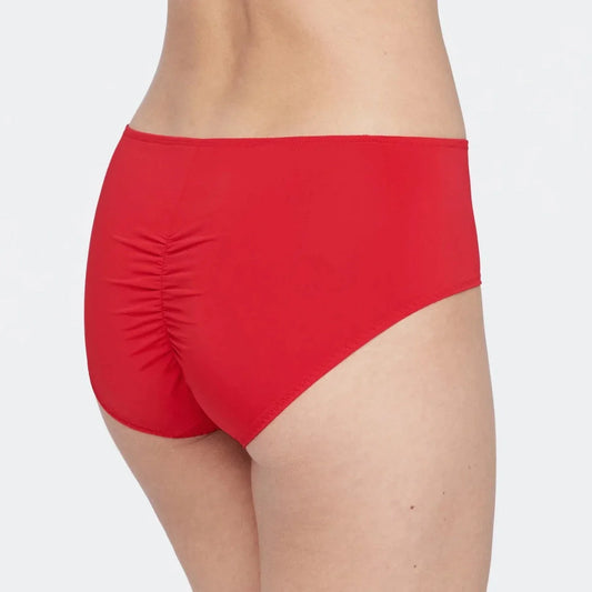 Entice Brief - Sangria/Nylon