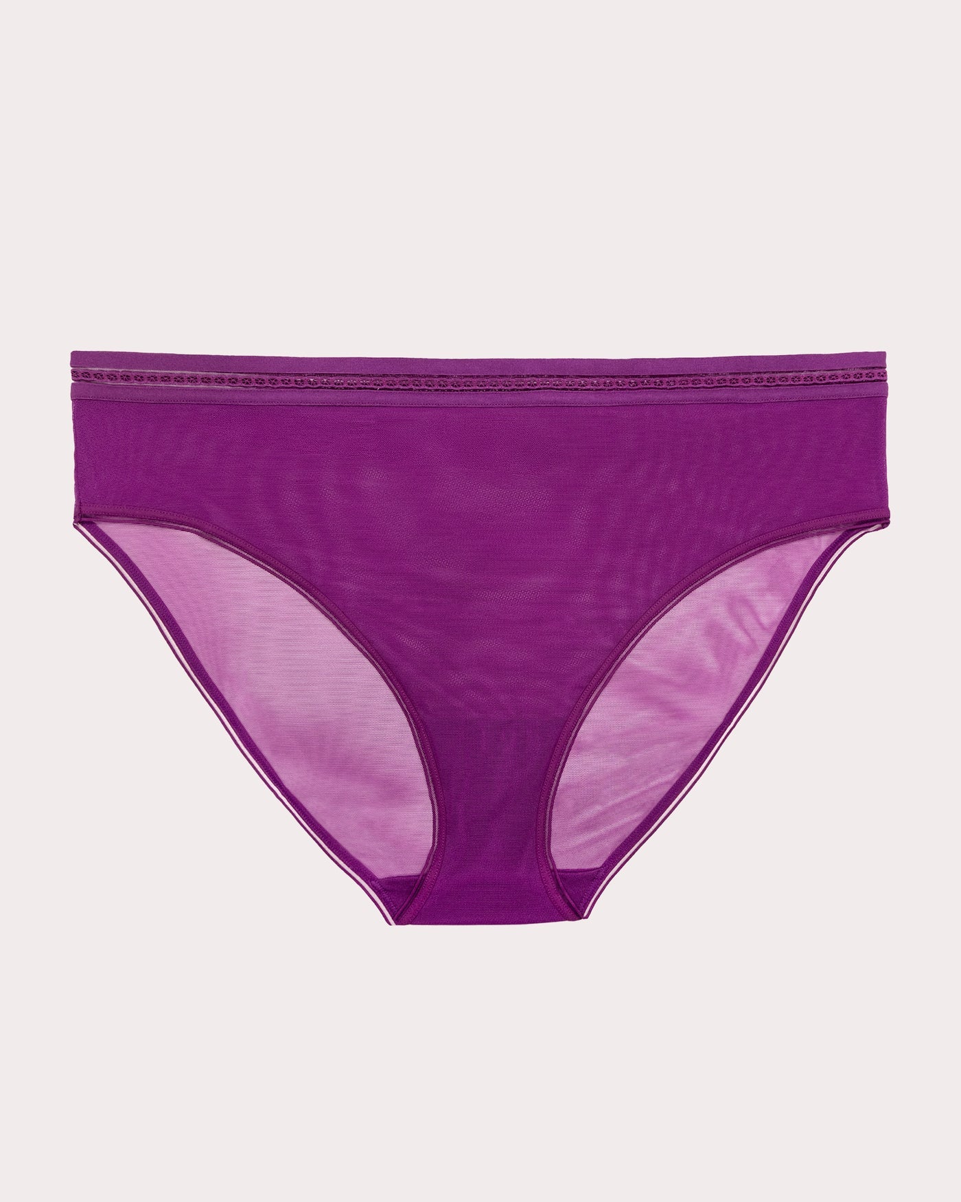 Sheer Mesh High Cut Brief Panty - Berry Bliss Magenta / Purple