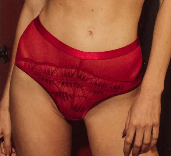 Embroidery Collection Backless/Ouvert Brief - Scarlett Red