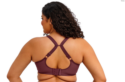 Matilda Plunge Bra - Sugarplum Purple/Burgundy