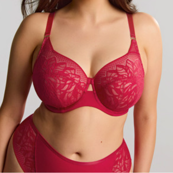 Sophia Full Cup Bra - Raspberry