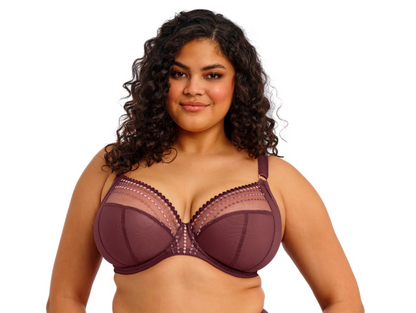 Matilda Plunge Bra - Sugarplum Purple/Burgundy