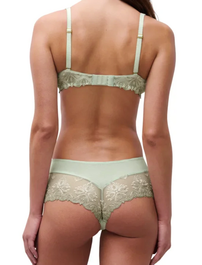 Champs Elysees Lace Hipster - Powder Green