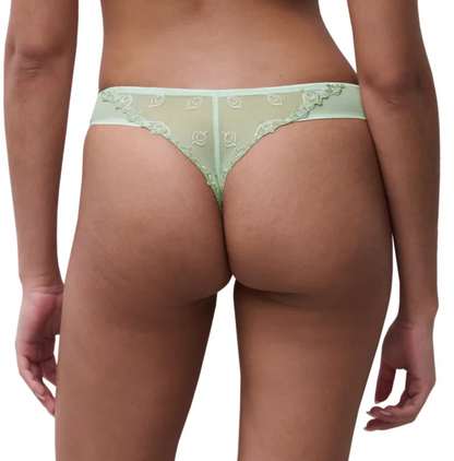 Champs Elysees Lace Thong - Powder Green