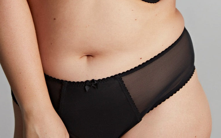 Plus size brief underwear lingerie Brooklyn