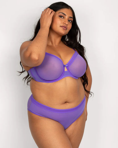 Sheer Mesh High Cut Brief - Violet