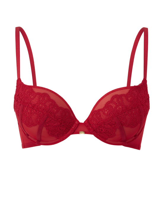 high end red lace bra