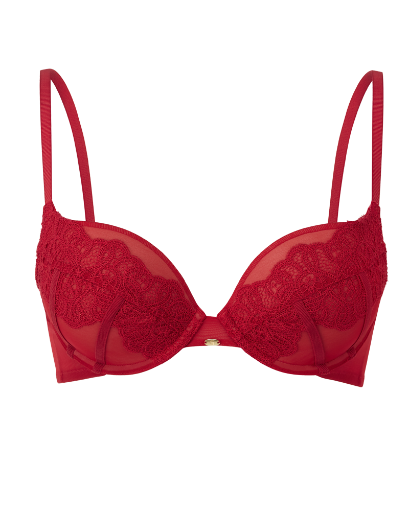 high end red lace bra