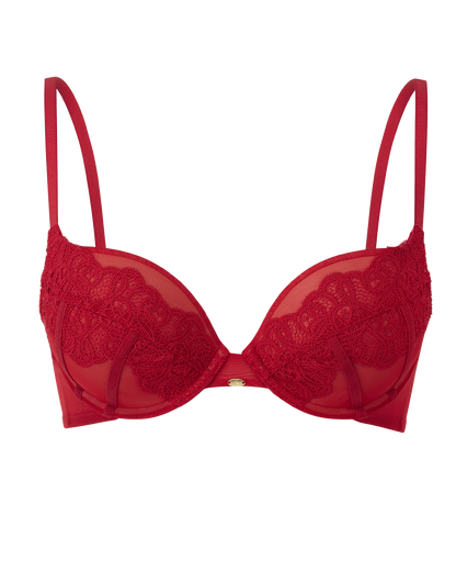 high end red lace bra